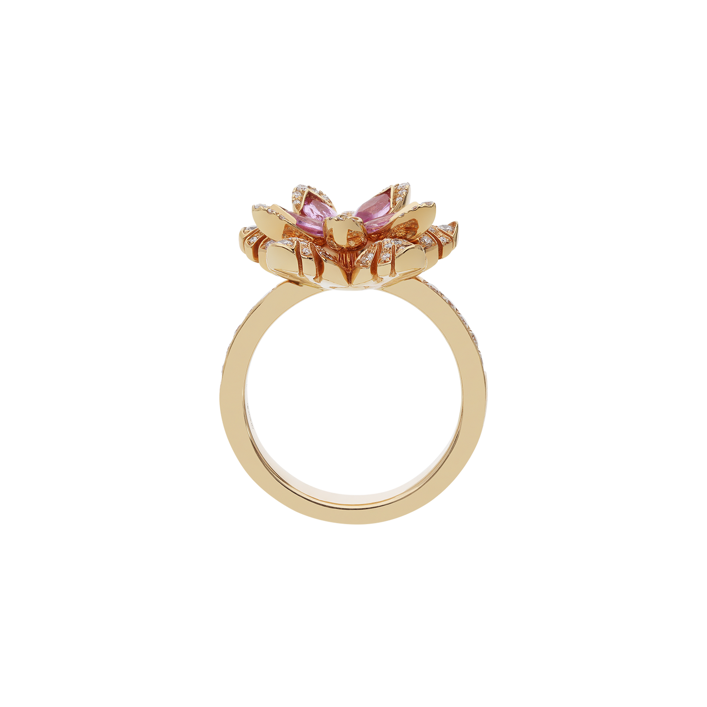 Ring A10979/ZRW-R Lenti & Villasco