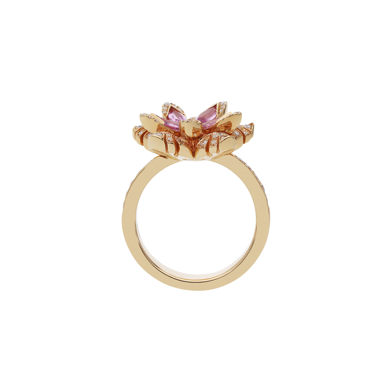 Ring A10979/ZRW-R Lenti & Villasco