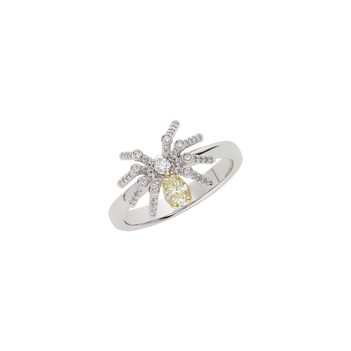 Ring A11738/YW-WY Lenti & Villasco
