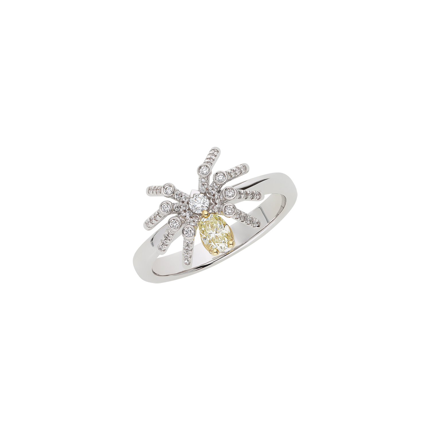 Ring A11738/YW-WY Lenti & Villasco