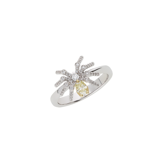 Ring A11738/YW-WY Lenti & Villasco