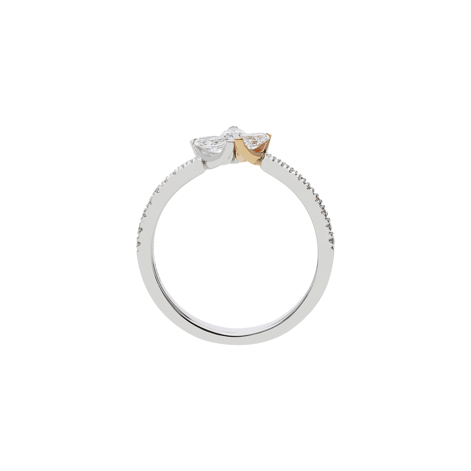 Ring A11761/W-WR Lenti & Villasco