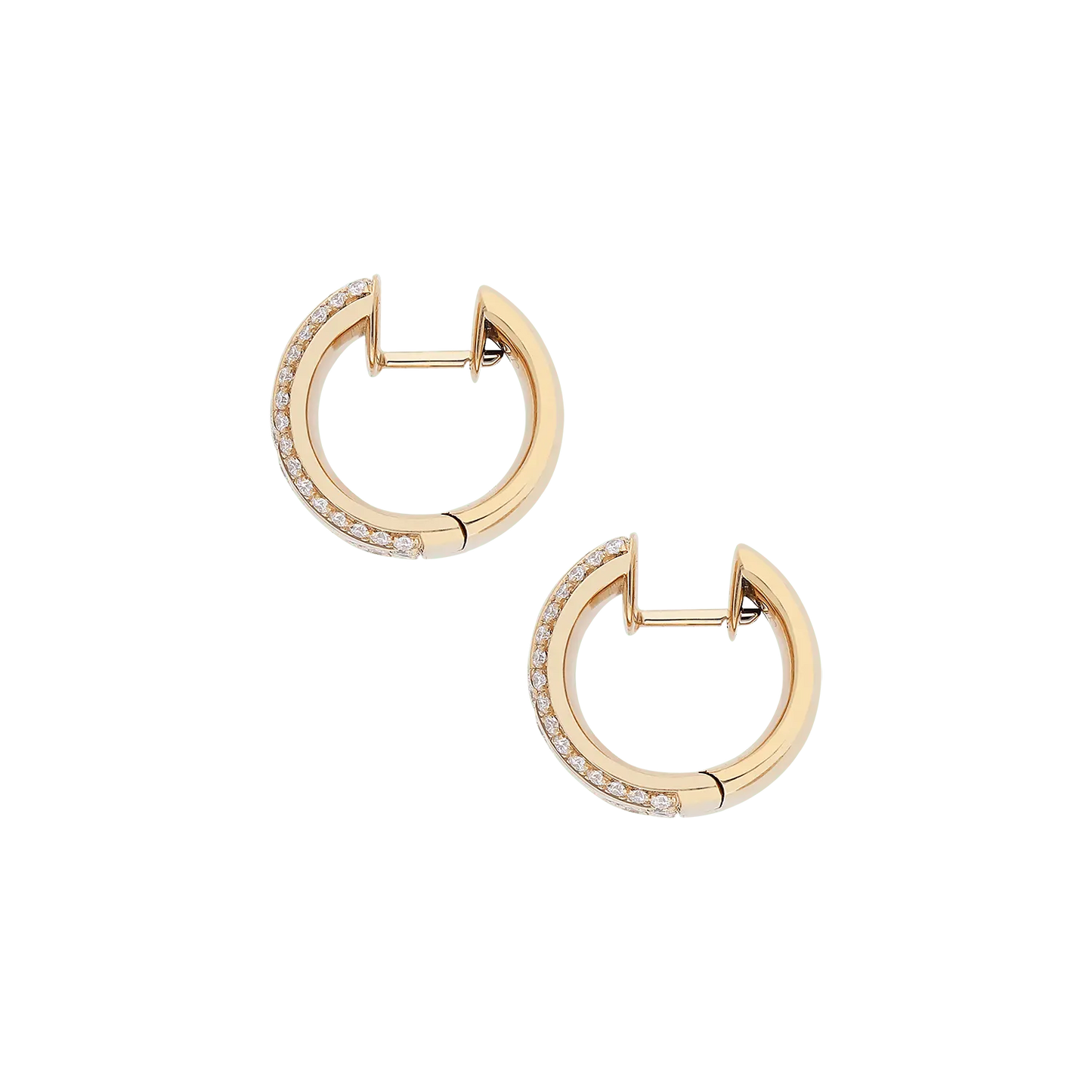 Earrings B10823/2W - R - Lenti1963