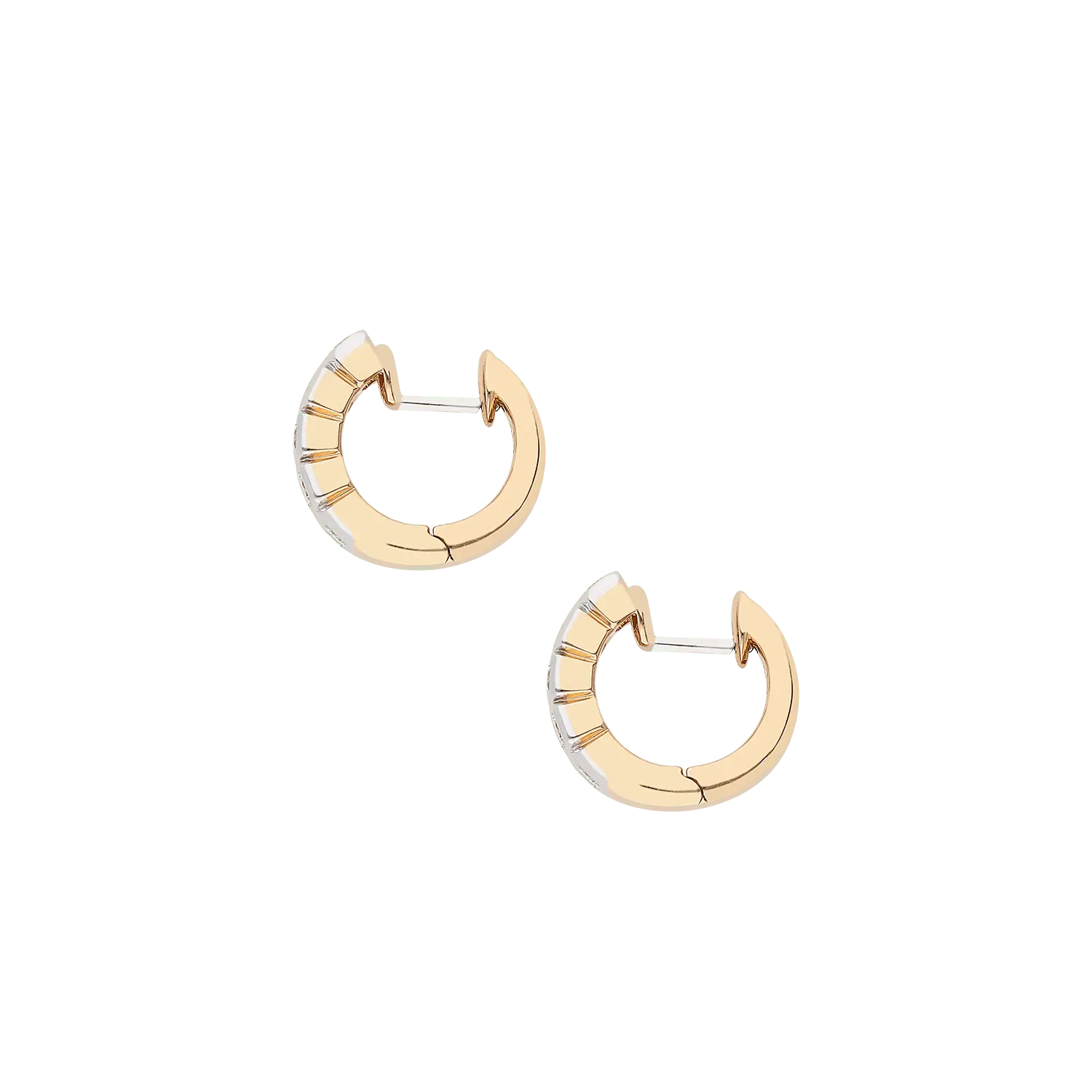 Earrings B10903/10W - RW - Lenti1963