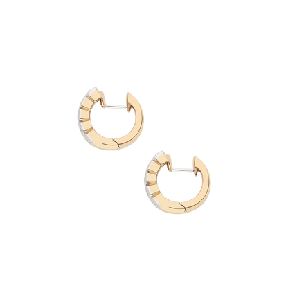 Earrings B10903/10W - RW - Lenti1963