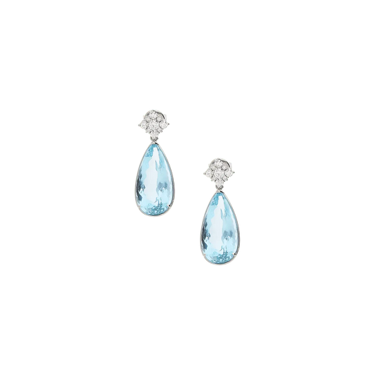 Earrings B8848C/AQW - W - Lenti1963