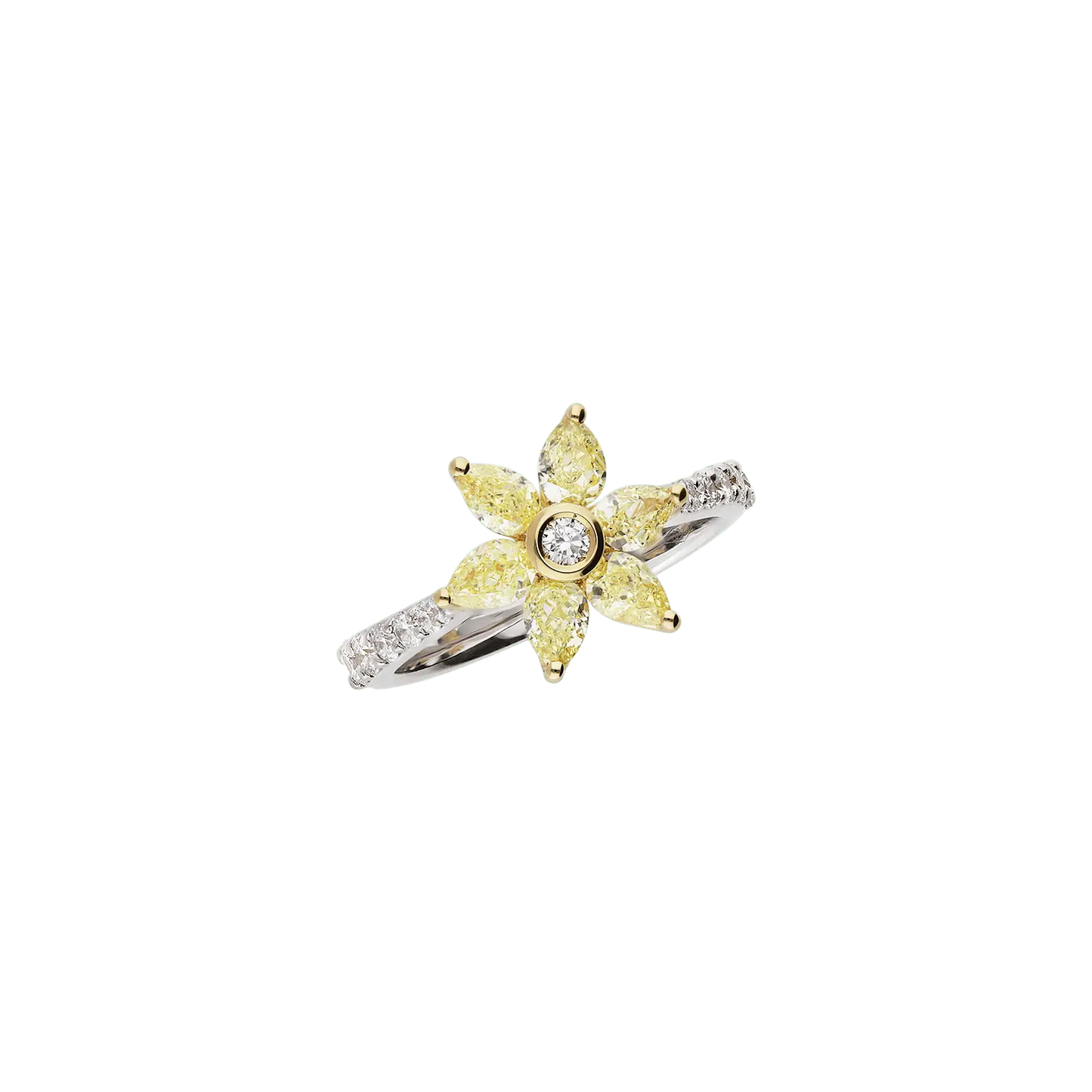 Ring A10325/YW - WY - Lenti1963