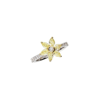 Ring A10325/YW - WY - Lenti1963