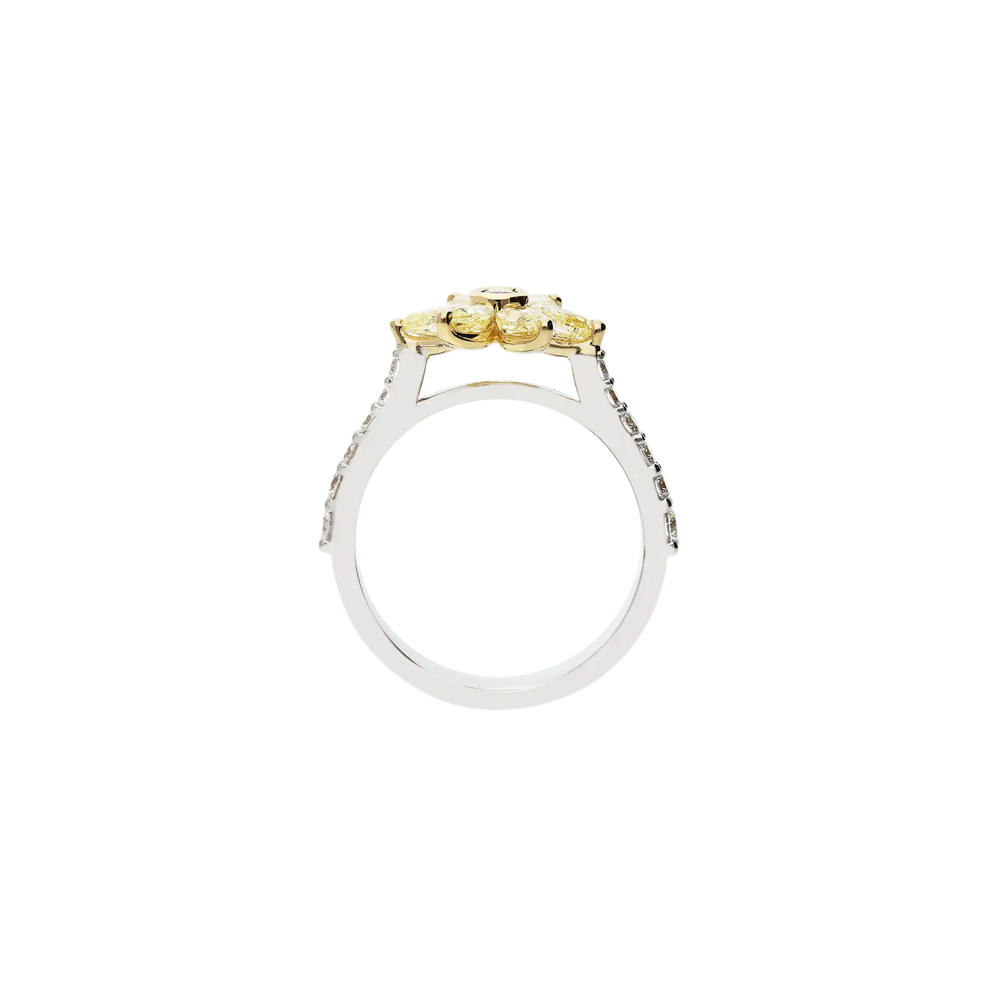 Ring A10325/YW - WY - Lenti1963