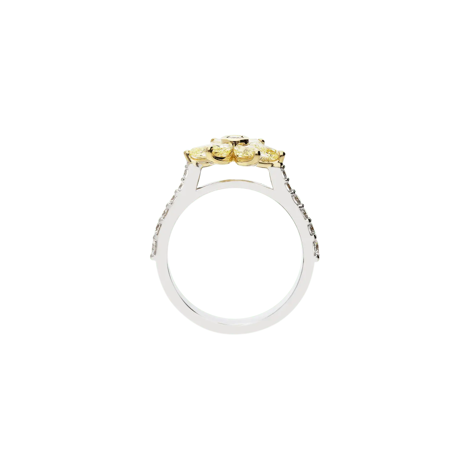 Ring A10325/YW - WY - Lenti1963