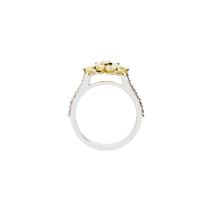 Ring A10325/YW - WY - Lenti1963