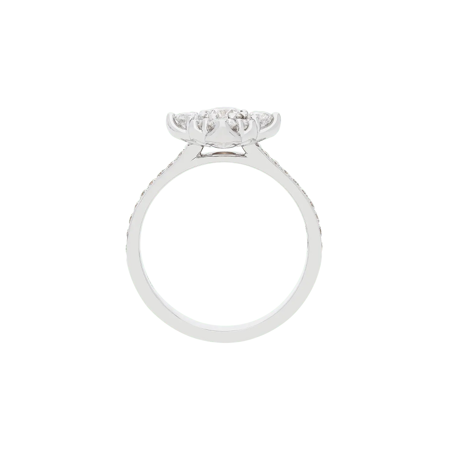 Ring A10931I/30W - W - Lenti1963