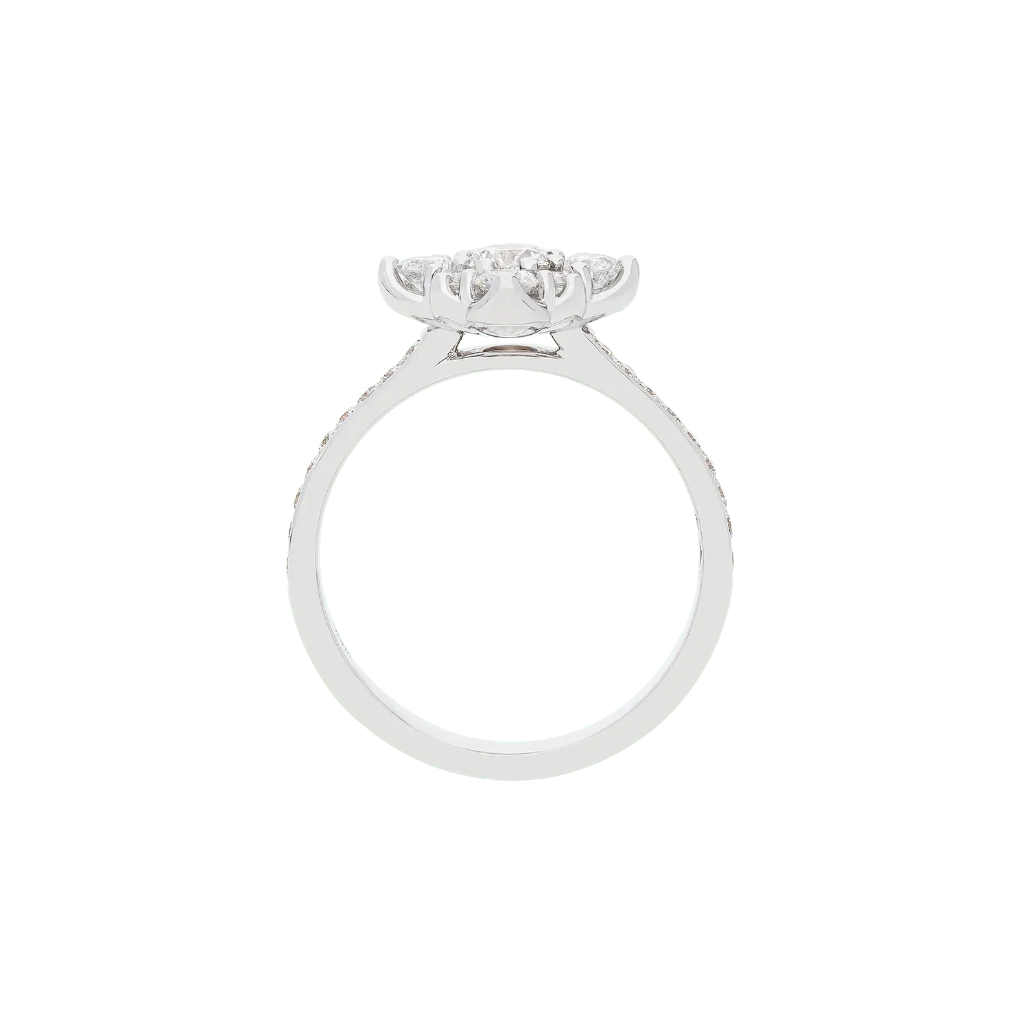 Ring A10931I/30W - W - Lenti1963