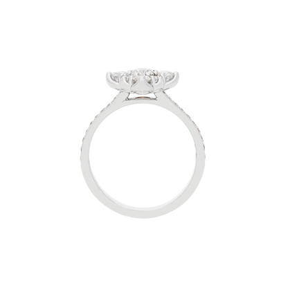 Ring A10931I/30W - W - Lenti1963