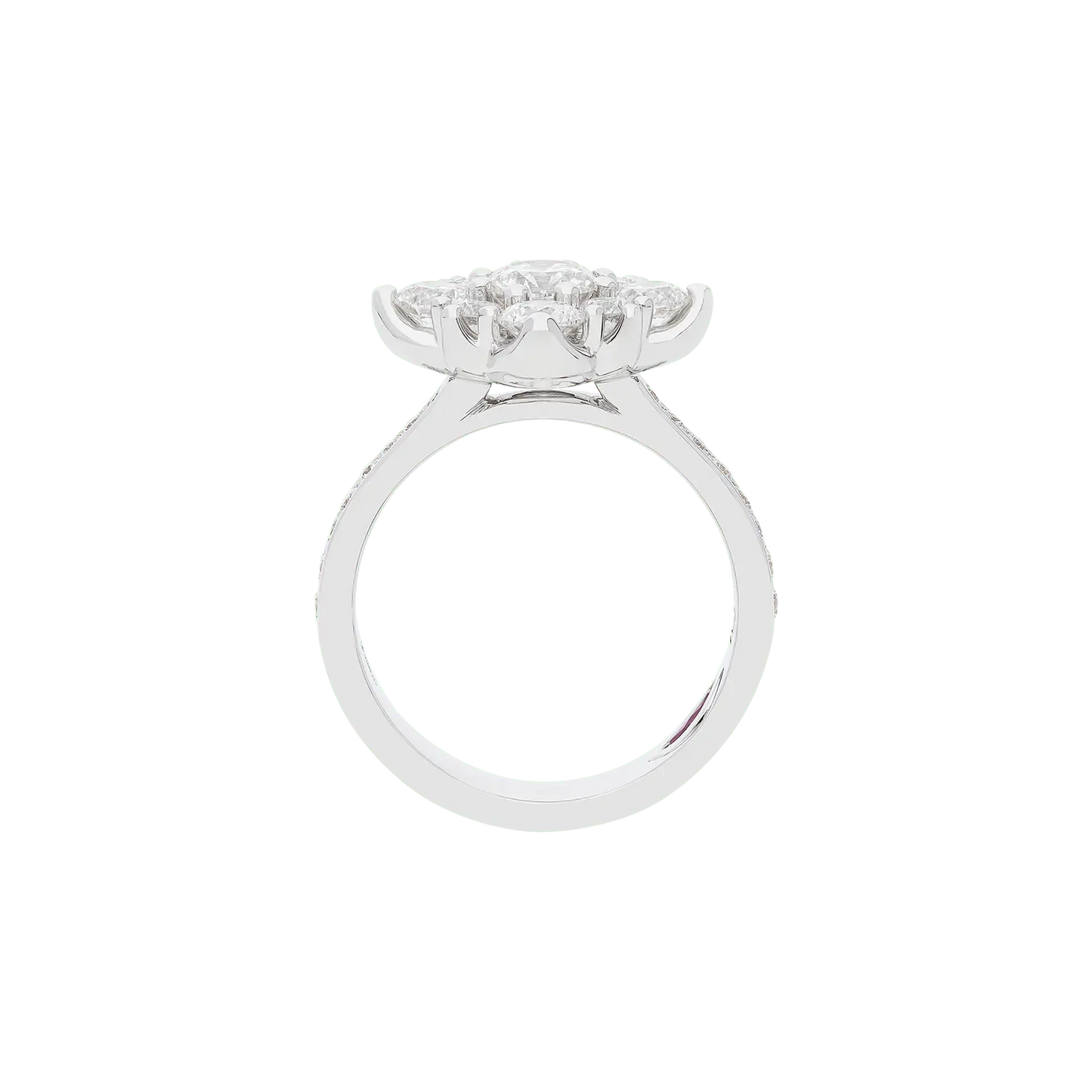 Ring A10931I/60W - W - Lenti1963