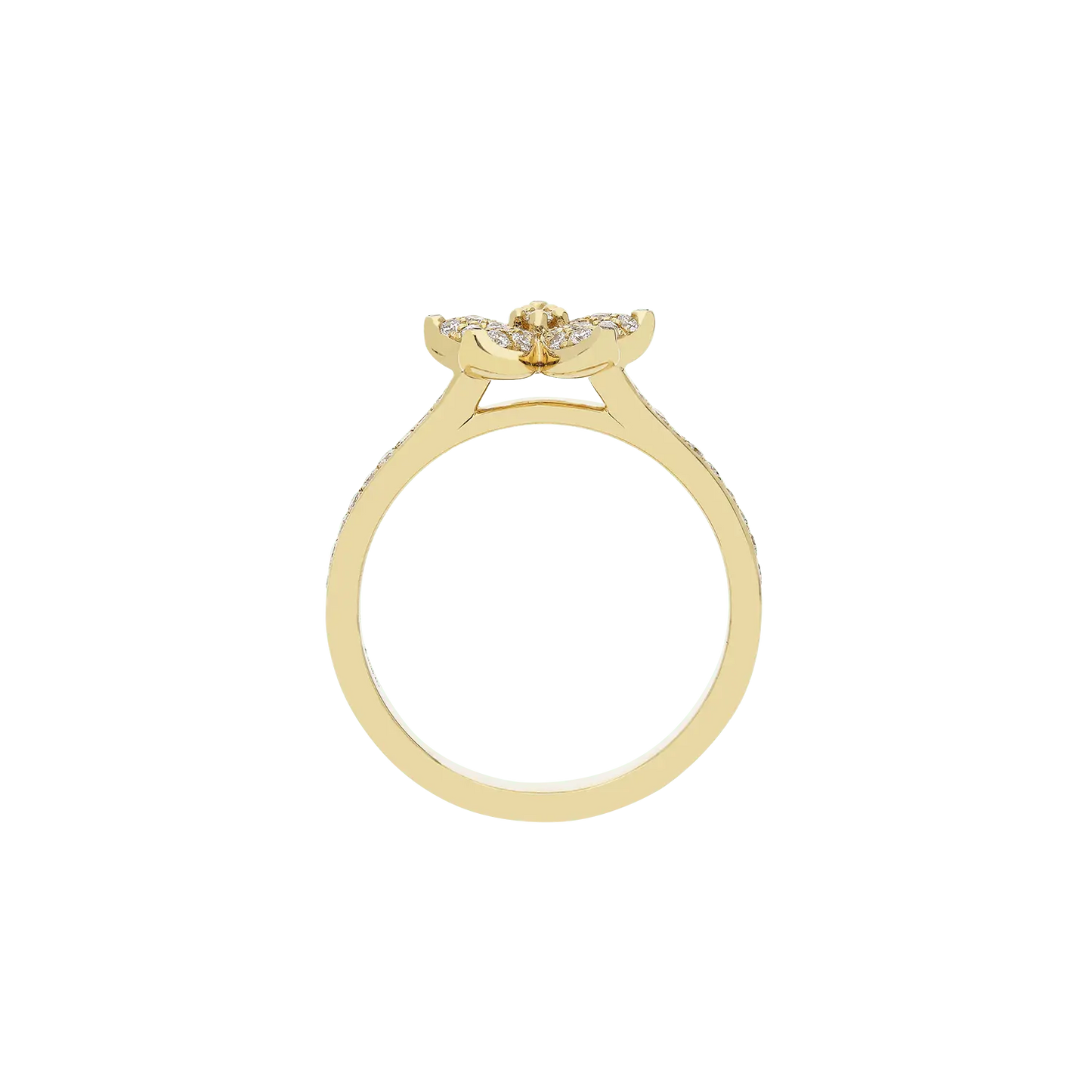Ring A11022/W - Y - Lenti1963