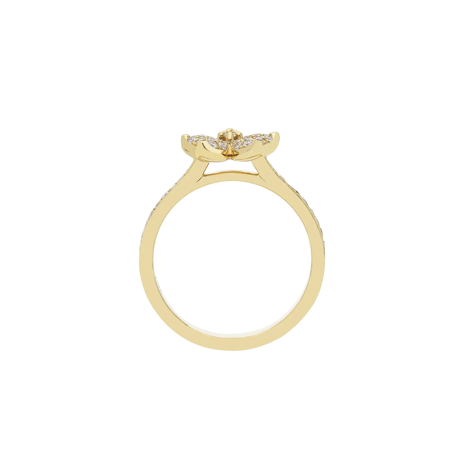 Ring A11022/W - Y - Lenti1963