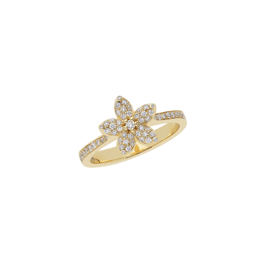 Ring A11022/W - Y - Lenti1963