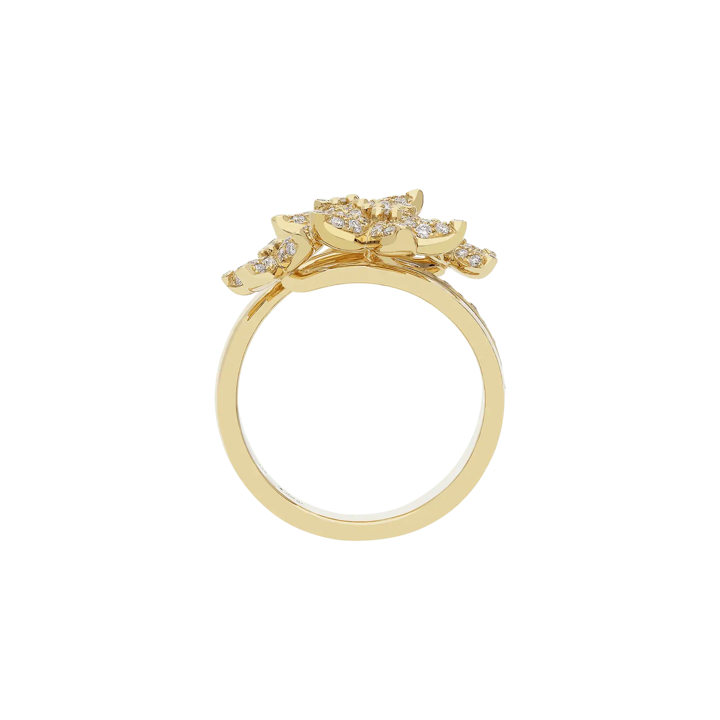 Ring A11024/W - Y - Lenti1963