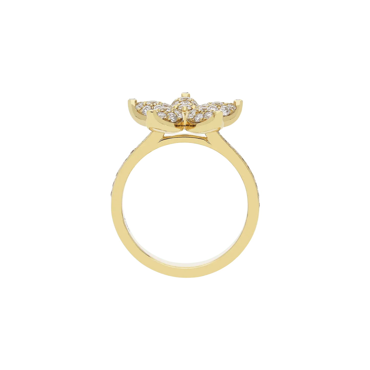 Ring A11038/W - Y - Lenti1963