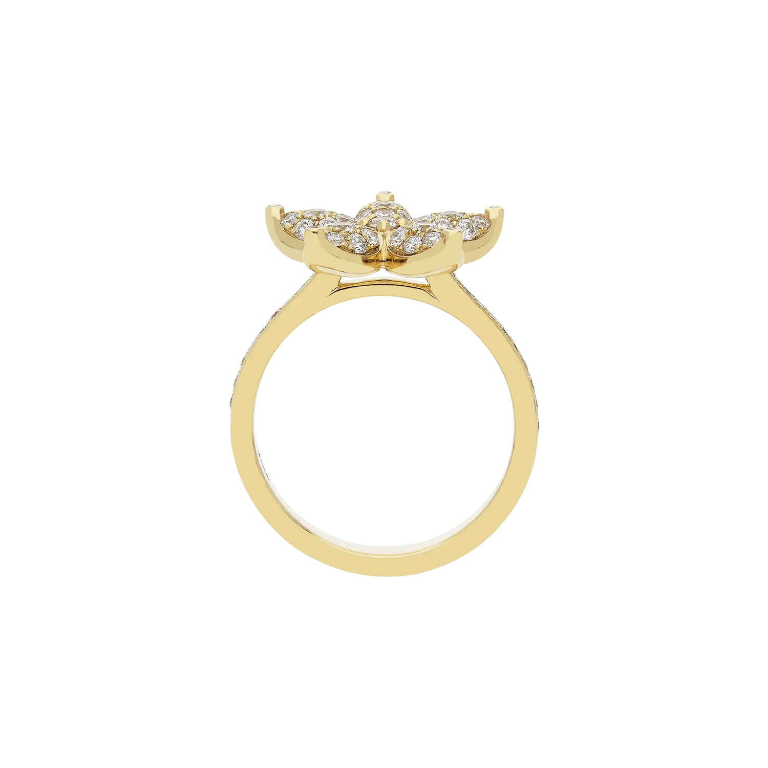 Ring A11038/W - Y - Lenti1963