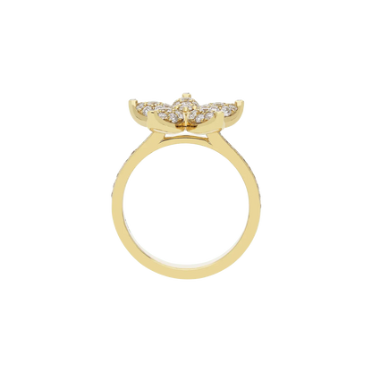 Ring A11038/W - Y - Lenti1963