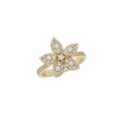 Ring A11038/W - Y - Lenti1963