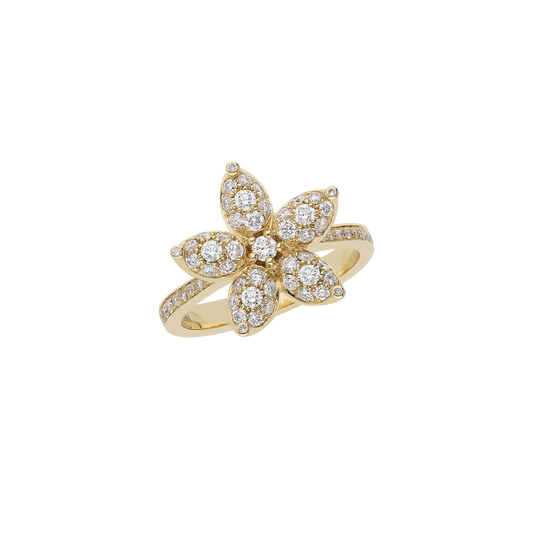 Ring A11038/W - Y - Lenti1963
