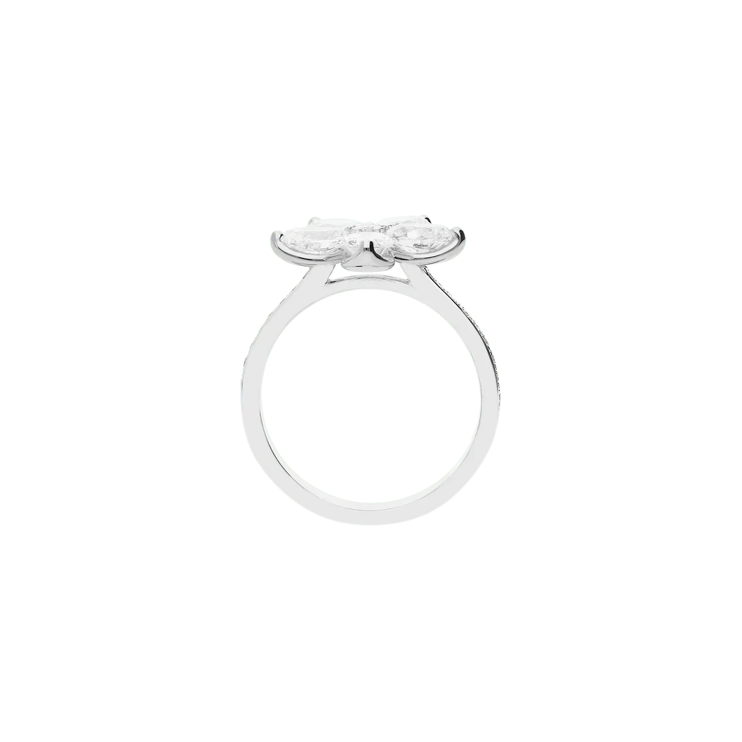 Ring A8691B/W - W - Lenti1963