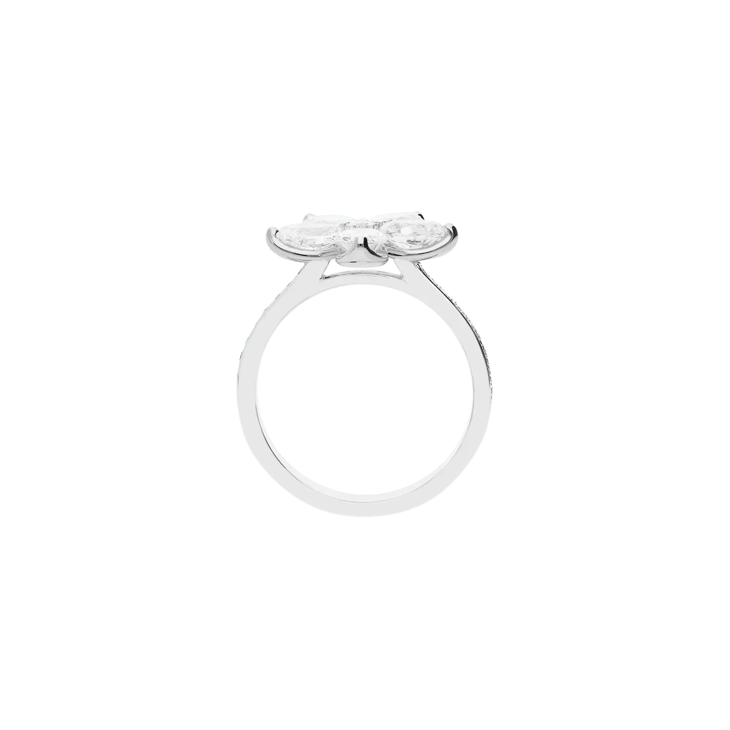 Ring A8691B/W - W - Lenti1963
