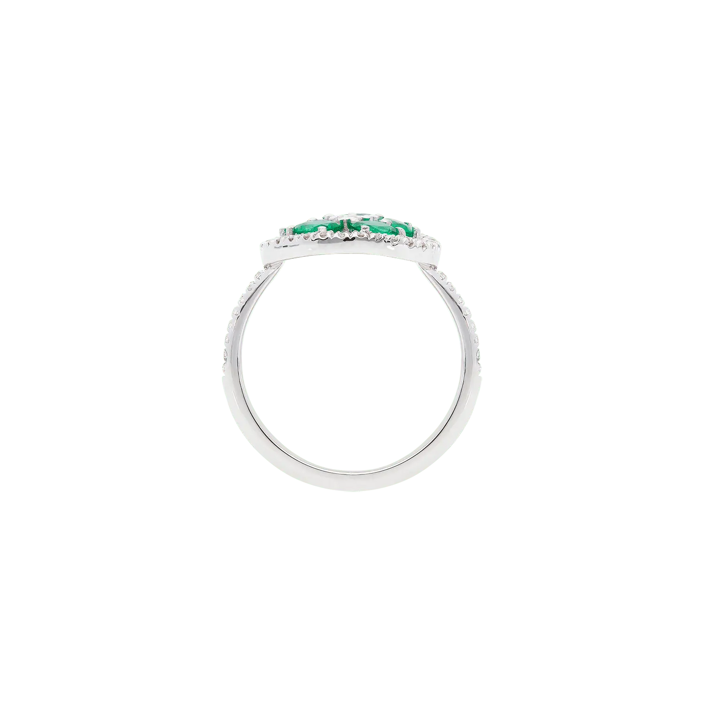 Ring A8763/SMW - Lenti1963