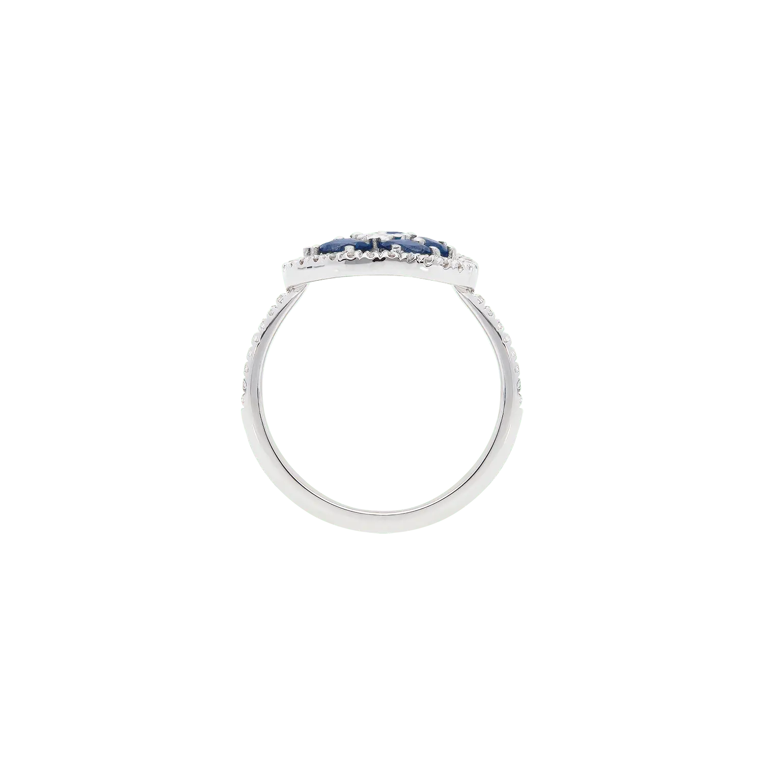 Ring A8763/ZBW - Lenti1963